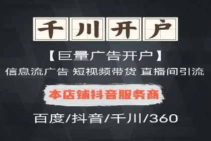 案例研究：百度竞价广告投放效果